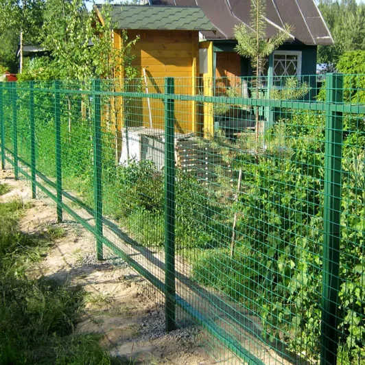 Забор сетка с ПВХ покрытием 50х50 мм 2 м